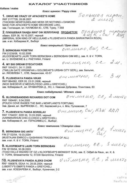 Фотография № 13801