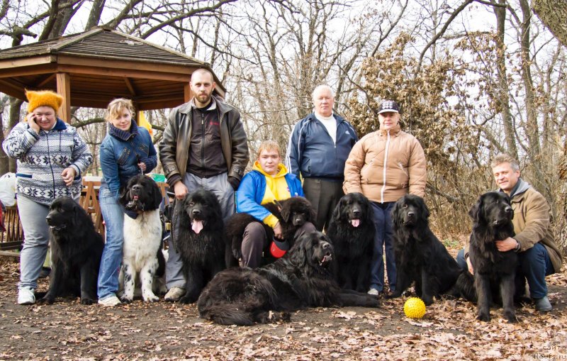 Фотография № 138018