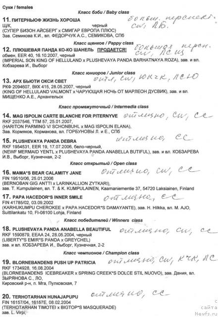 Фотография № 13802