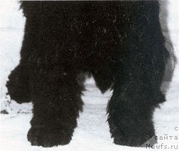 Фотография № 138059