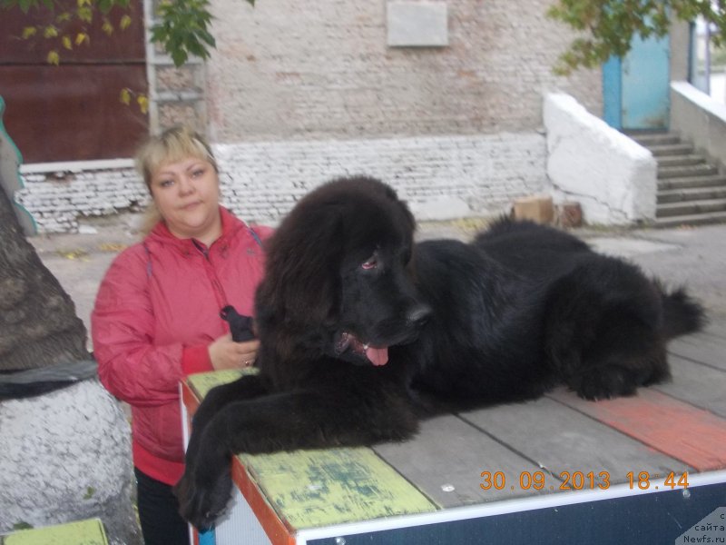 Фото: Оксана Конопельцева