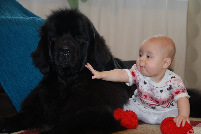 Фотография № 138073