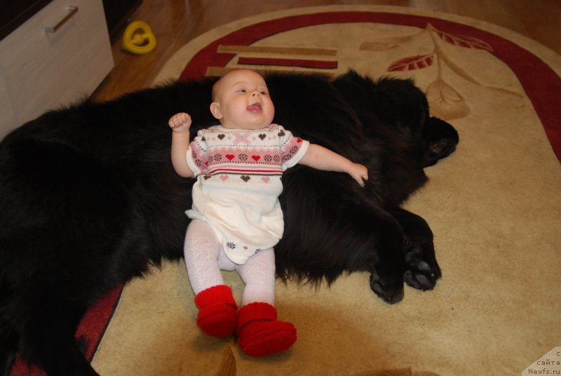 Фотография № 138075