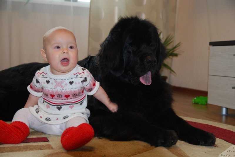 Фотография № 138076