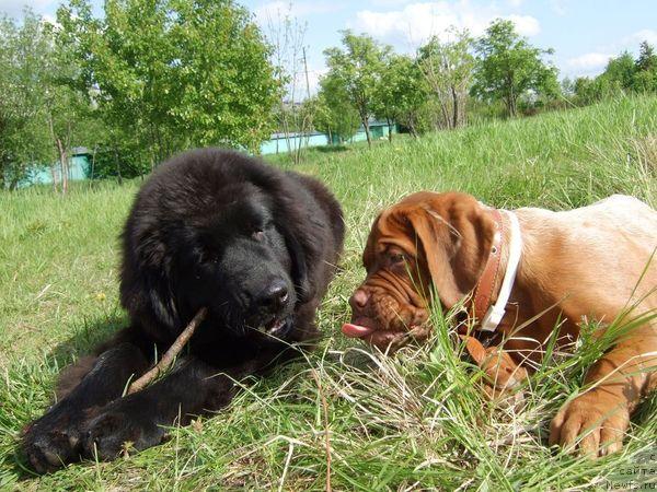 Фотография № 13809