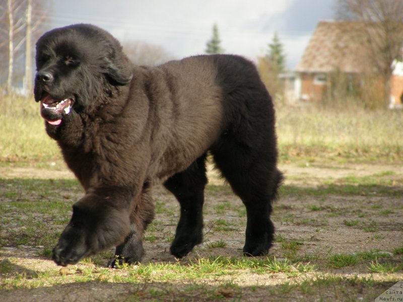 Фотография № 138111