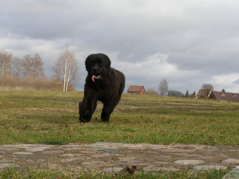 Фотография № 138116