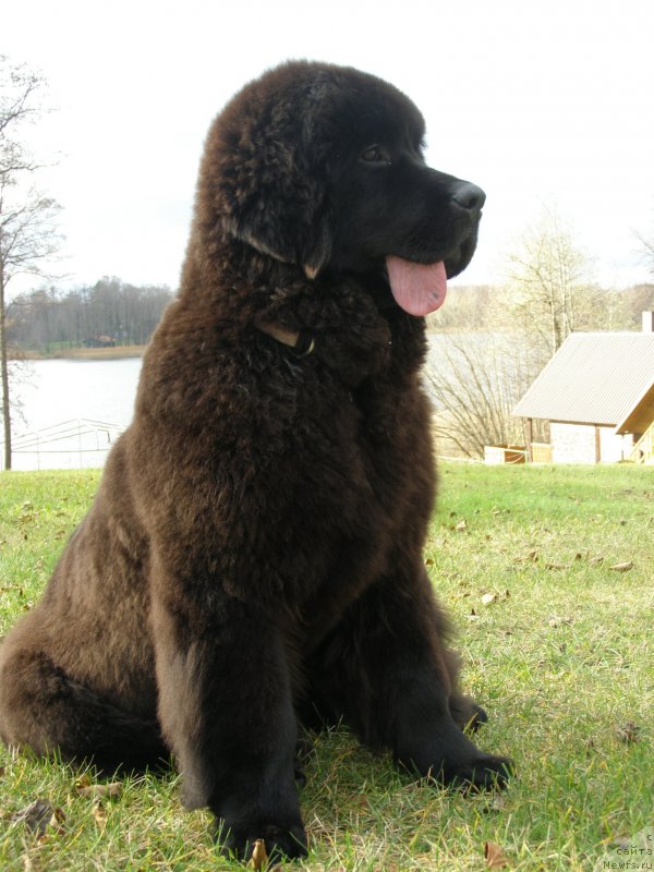 Фотография № 138118