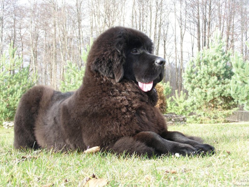 Фотография № 138125