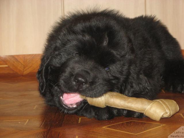 Фотография № 13813