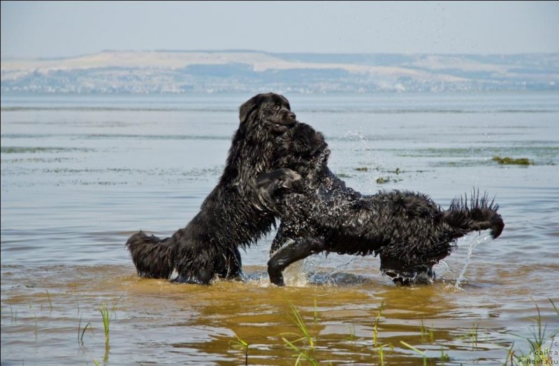 Фотография № 138141