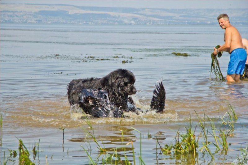 Фотография № 138142