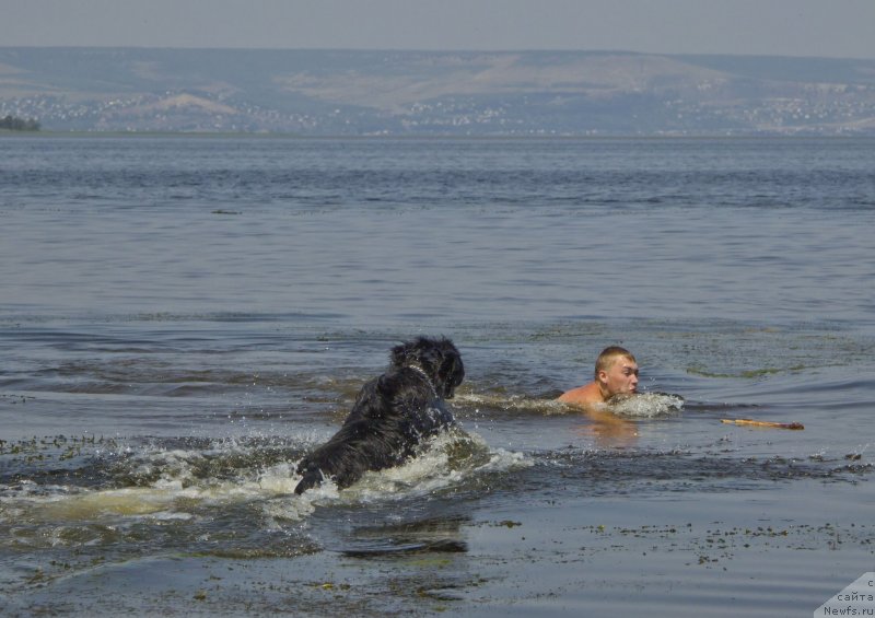 Фотография № 138151