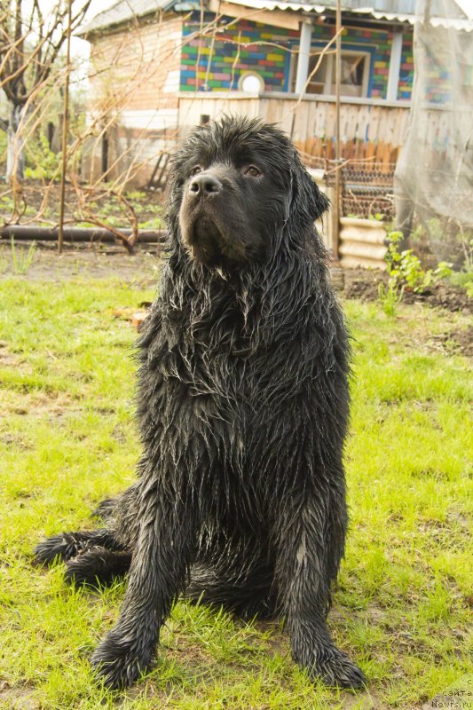 Фотография № 138153