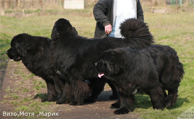 Фото: Альбина Малинина
