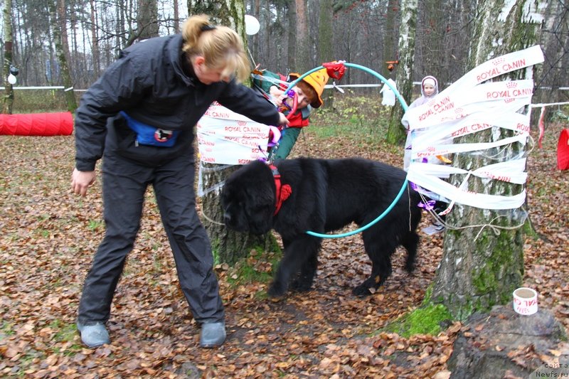 Фотография № 138158