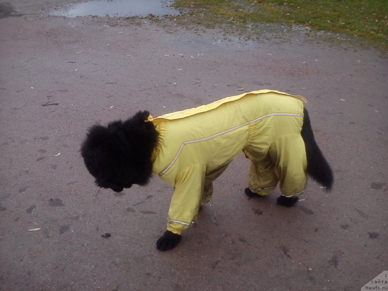 Фото: Наталья Медведь