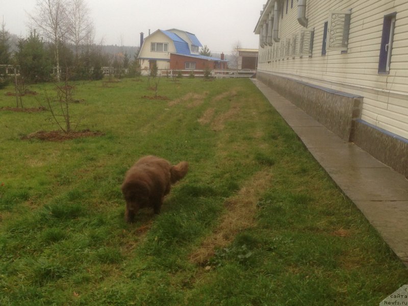 Фотография № 138161