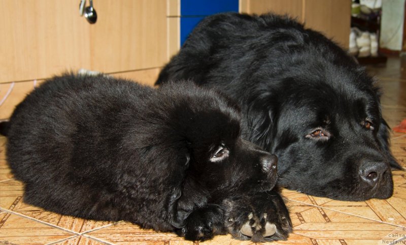 Фотография № 138167