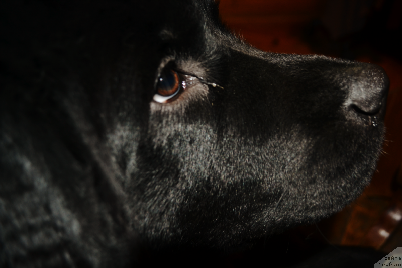 Фотография № 138177