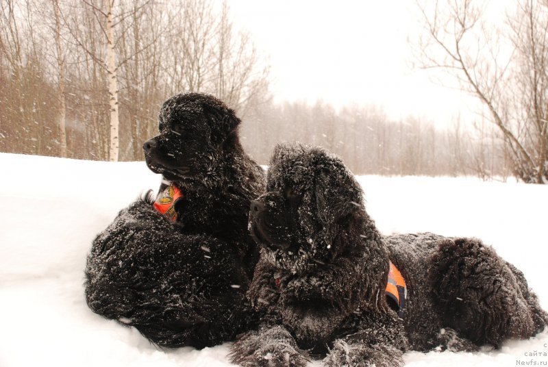 Фотография № 138229