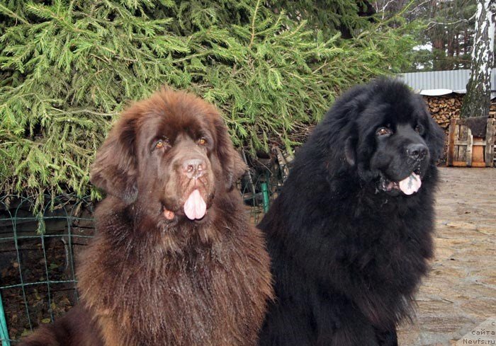 Фотография № 138244