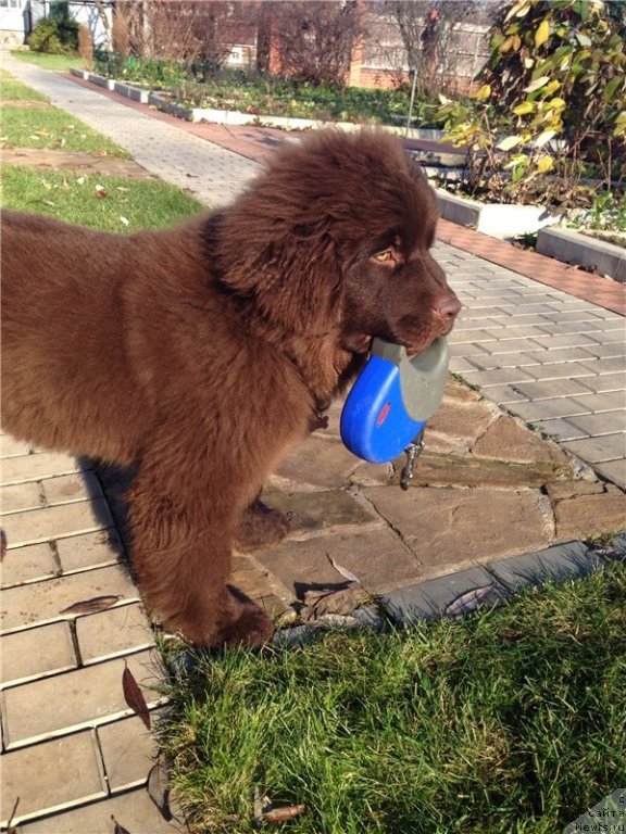Фото: Кипер Соул Перфект Виктори»