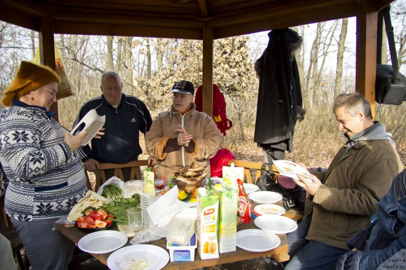 Фотография № 138253