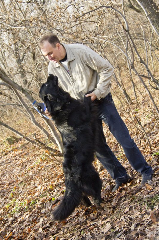 Фотография № 138255