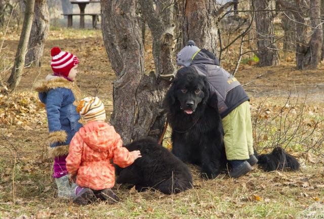 Фотография № 138257