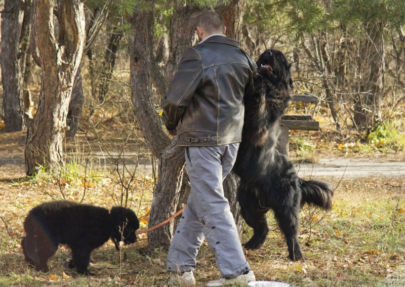 Фотография № 138258