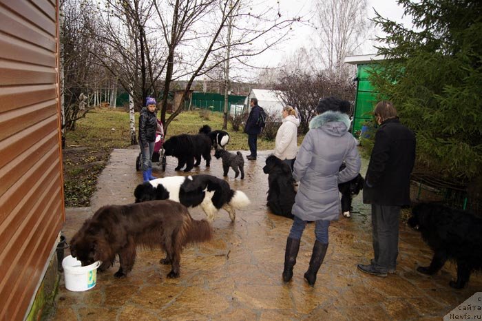 Фотография № 138260