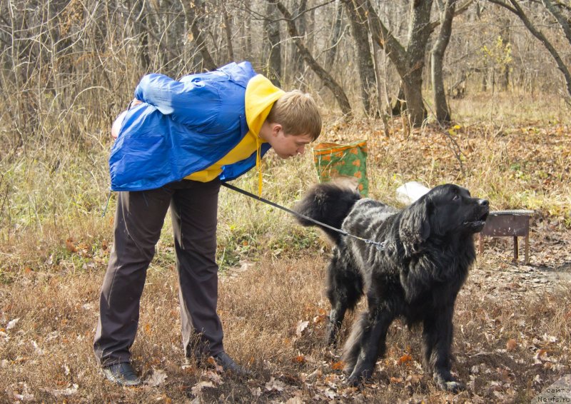 Фотография № 138261