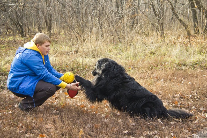 Фотография № 138262