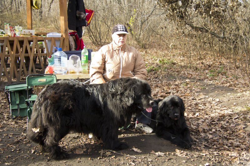 Фотография № 138264