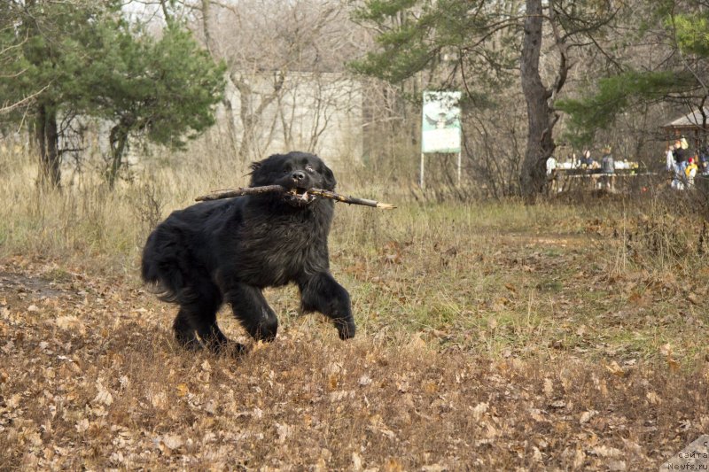 Фотография № 138265