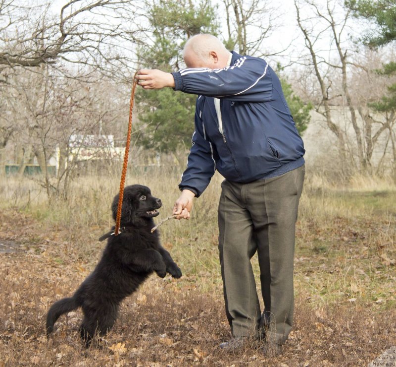 Фотография № 138266