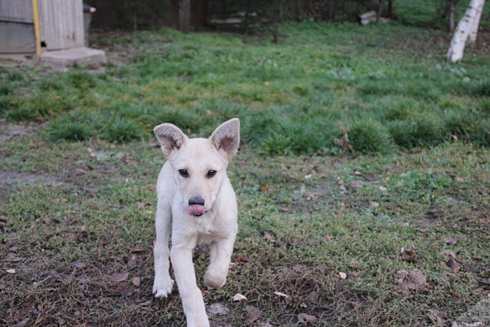 Фотография № 138308