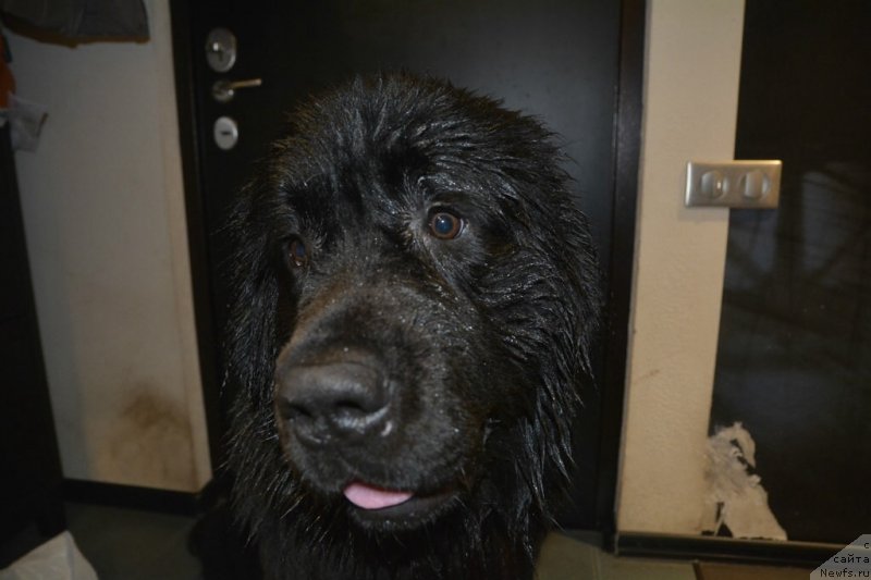 Фотография № 138321