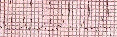 Фотография № 138334