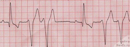 Фотография № 138337