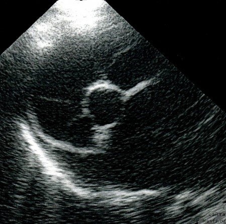 Фотография № 138339