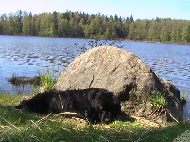 Фотография № 13837