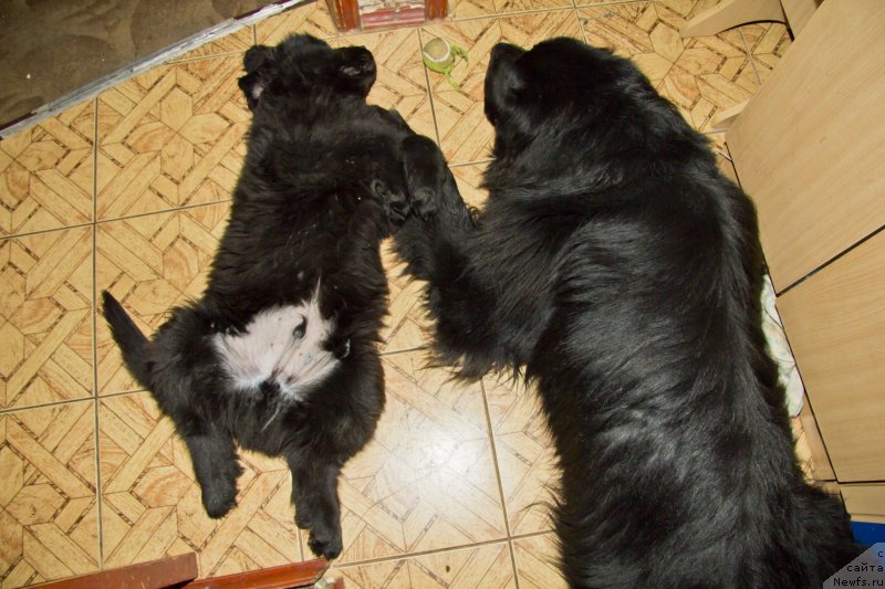 Фотография № 138372