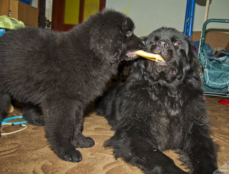 Фотография № 138374