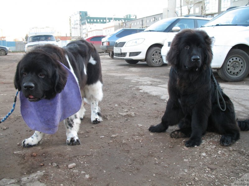 Фотография № 138400