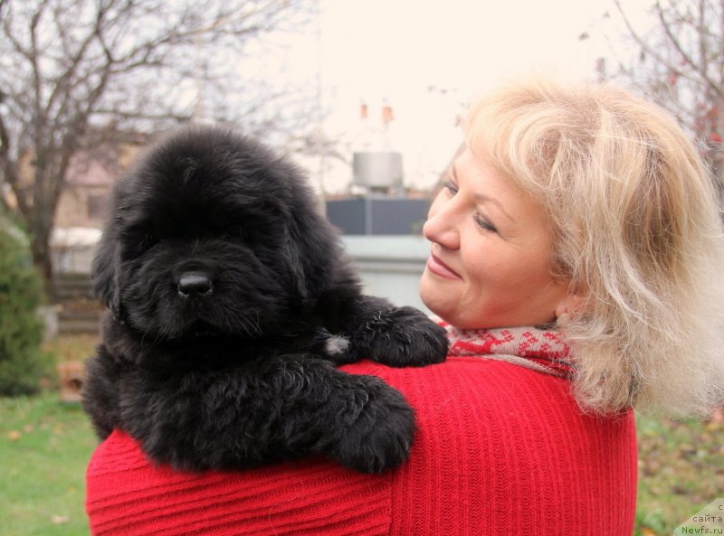 Фото: Venturous Scheme  Dinastiya Soverchenstva.