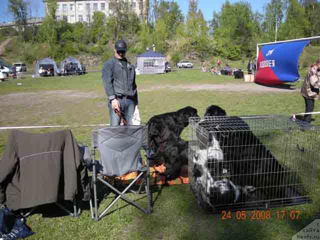 Фотография № 13845