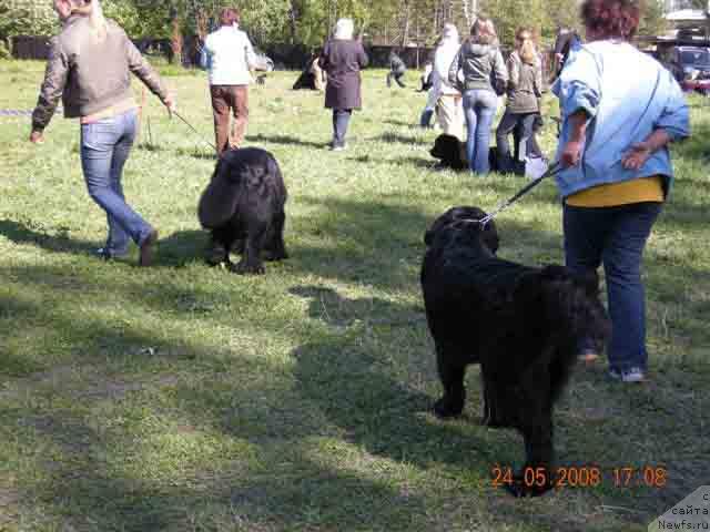 Фотография № 13846