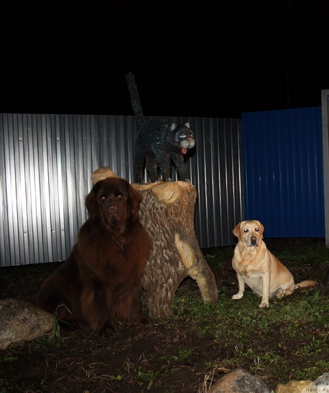 Фотография № 138464